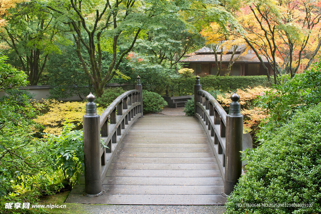 木橋棧道