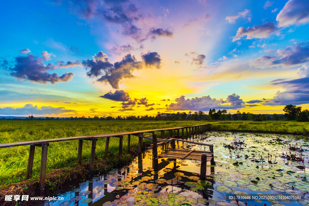 夕陽下的湖畔木橋美景