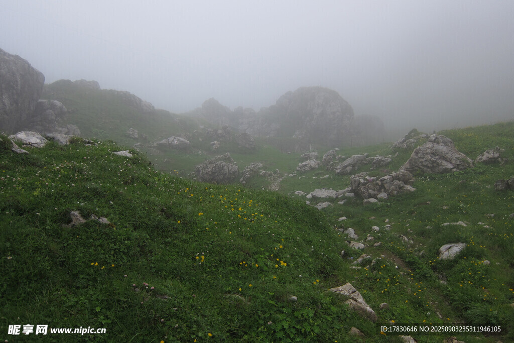 霧中青山綠野景觀