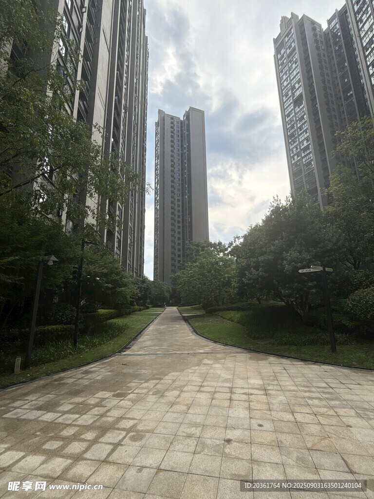 城市中林蔭環(huán)繞的寬闊步道