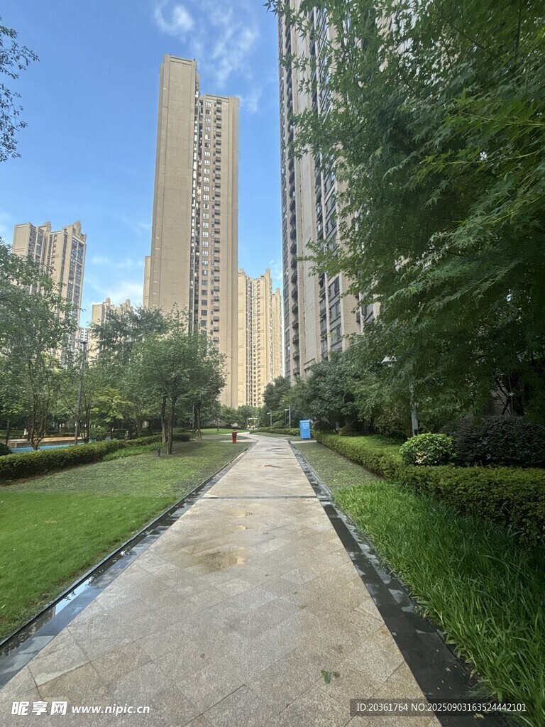 城市中靜謐的林蔭步道