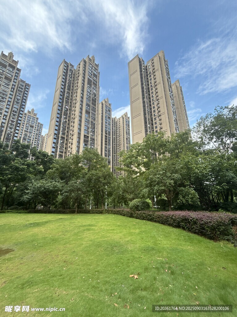城市綠地旁的高樓景觀