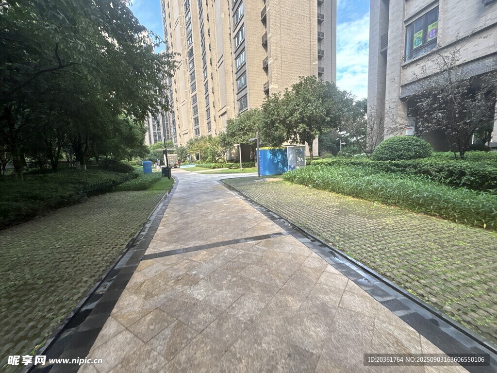 城市中幽靜的綠植小道