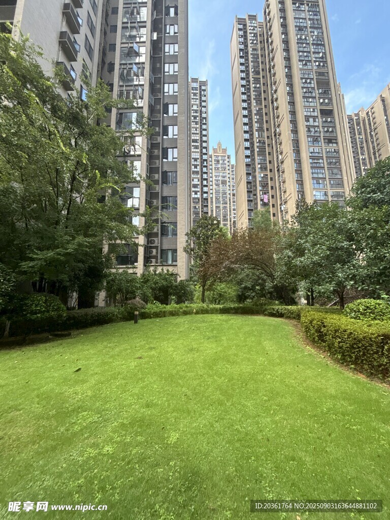 城市中的翠綠草坪景觀
