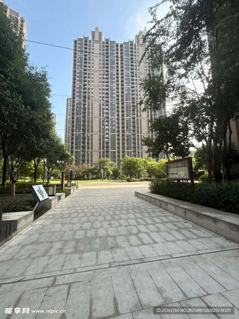 城市林蔭下的寬闊磚石步道