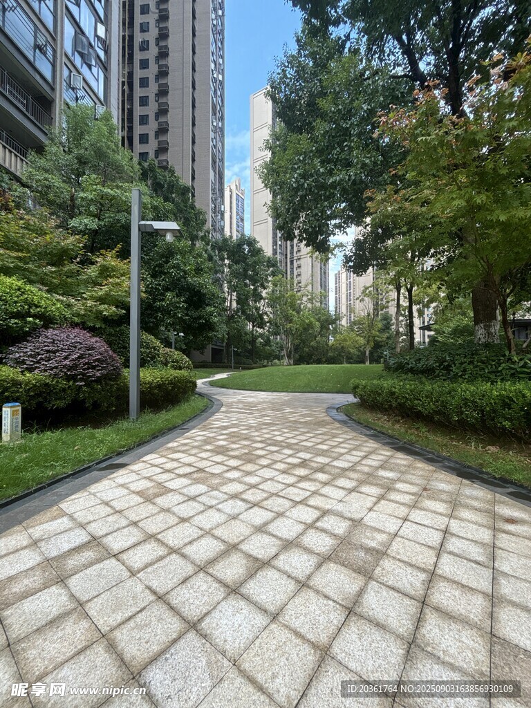 城市中靜謐的磚石林蔭小道