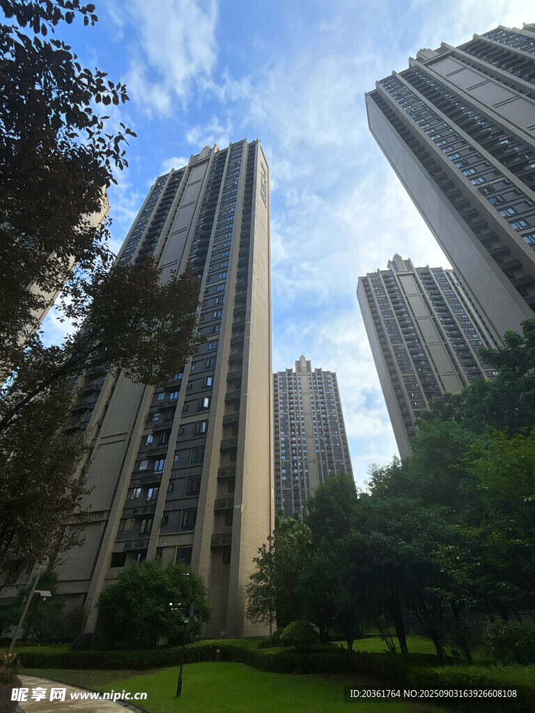 城市高樓與綠植景觀