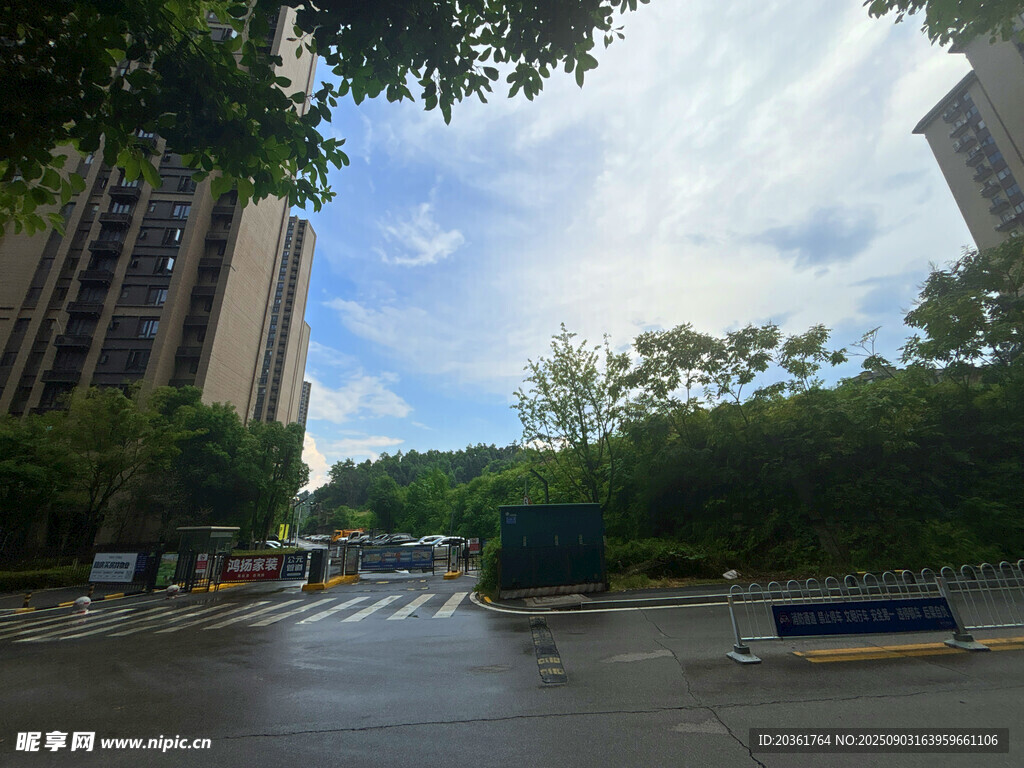 城市雨后街道與綠植景觀