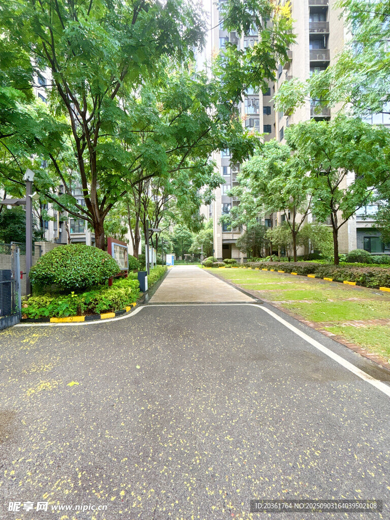 小區(qū)內(nèi)綠樹(shù)成蔭的道路
