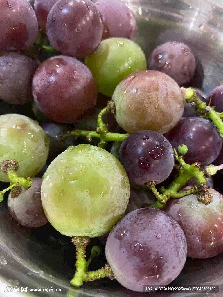 碗中紫綠相間新鮮葡萄