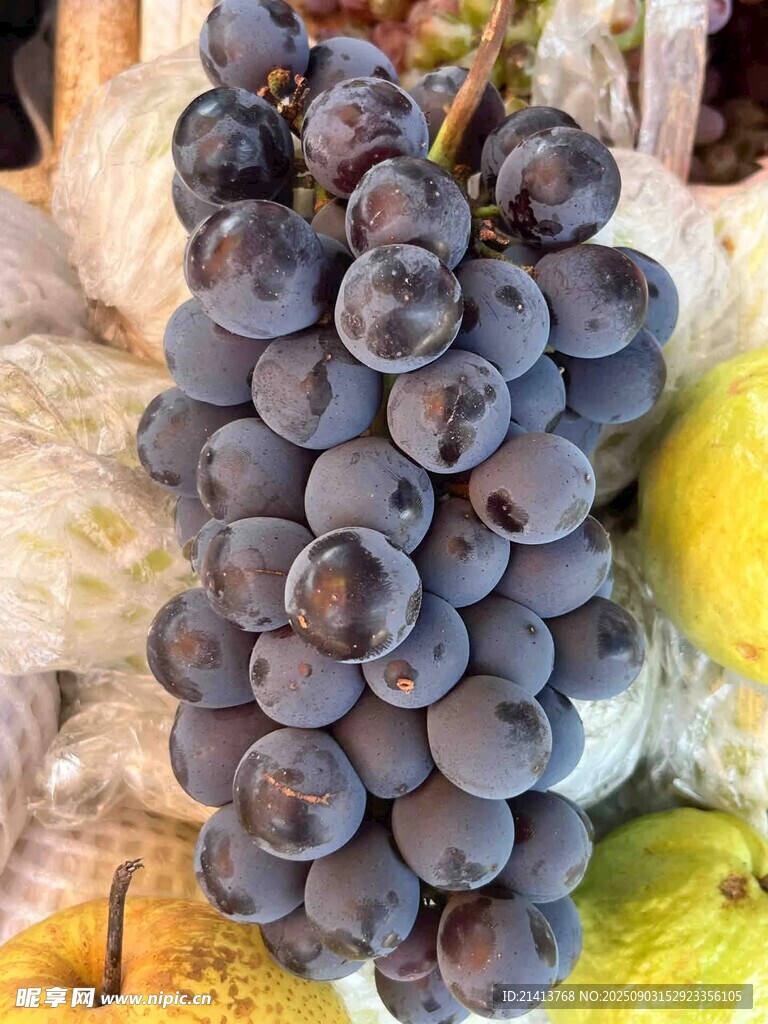 紫葡萄特寫