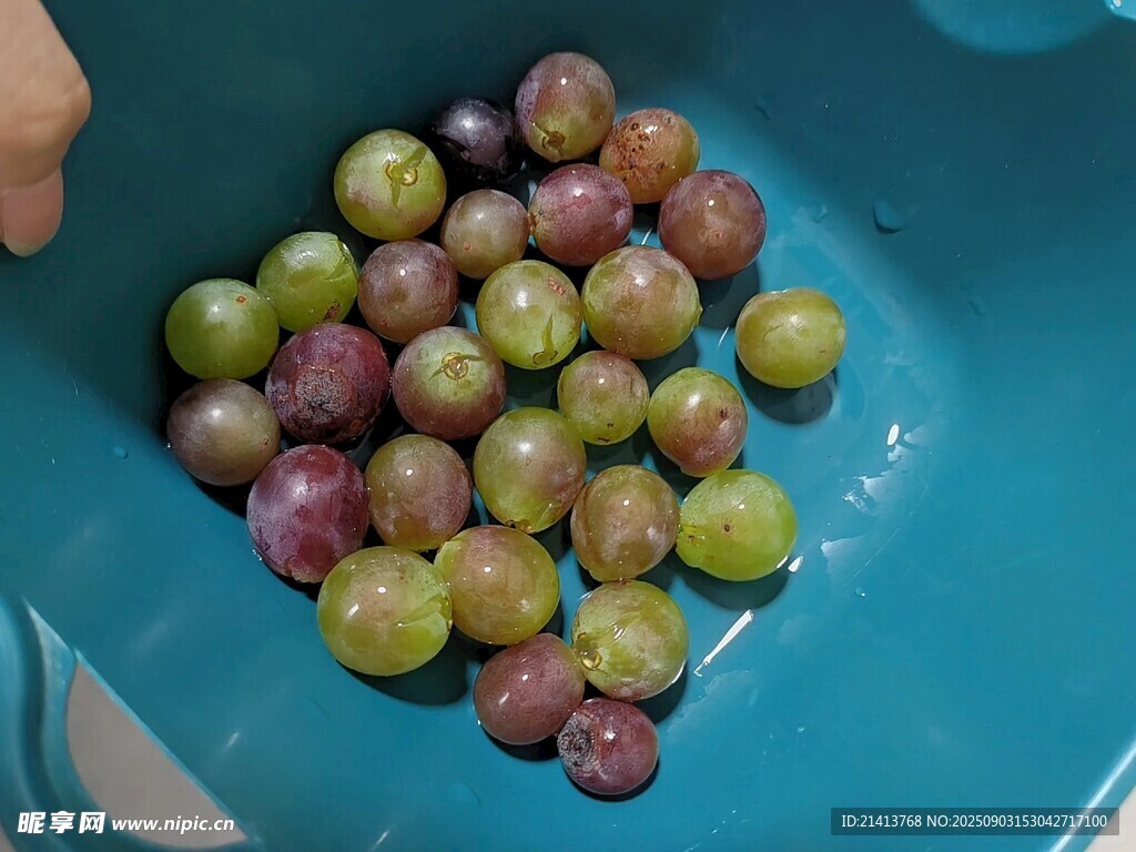 碗中多彩葡萄待品嘗