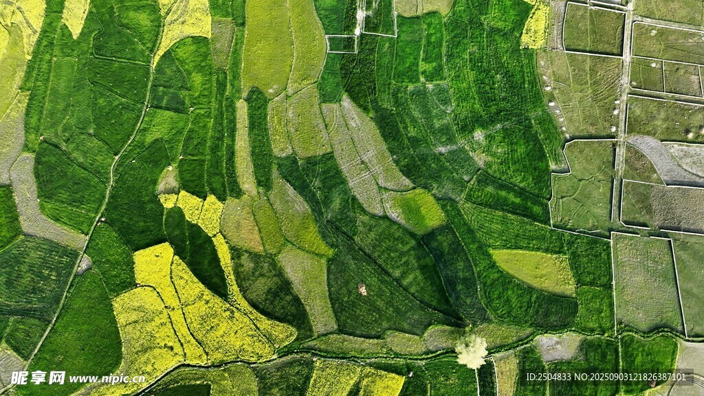 俯瞰多彩農(nóng)田景觀