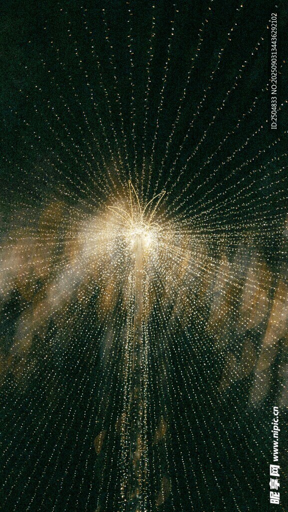 璀璨煙花綻放夜空