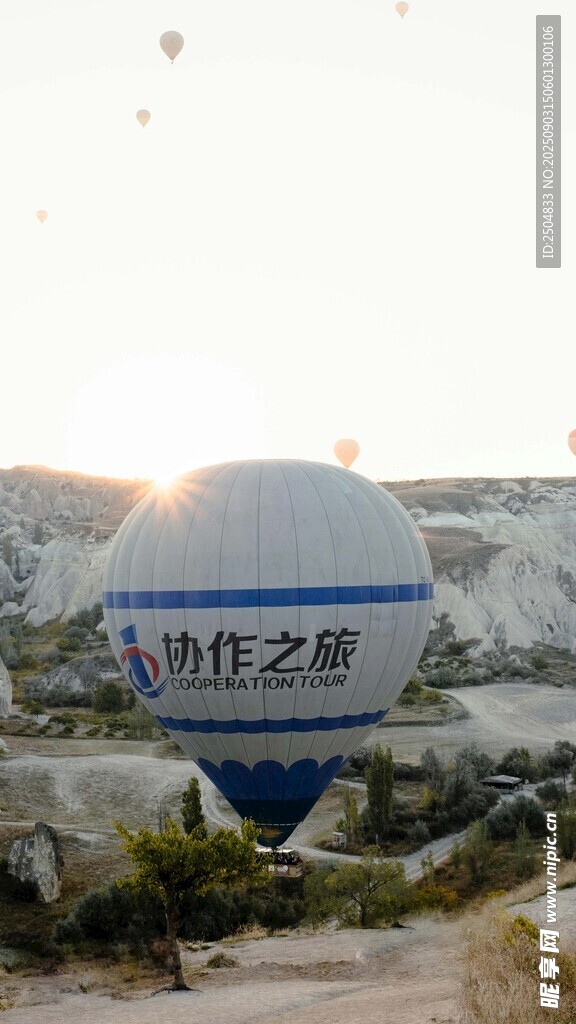 藍白熱氣球于風景中升空