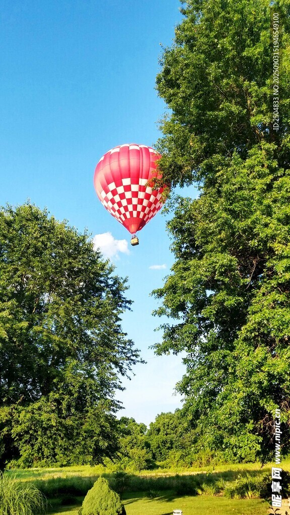 空中熱氣球穿梭綠樹之間