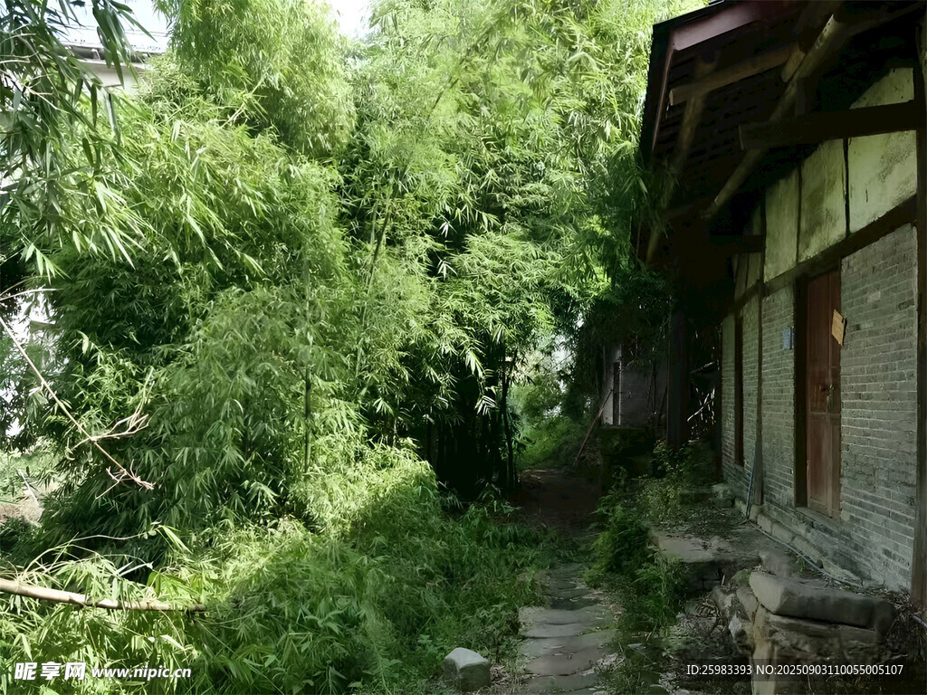 山林小屋