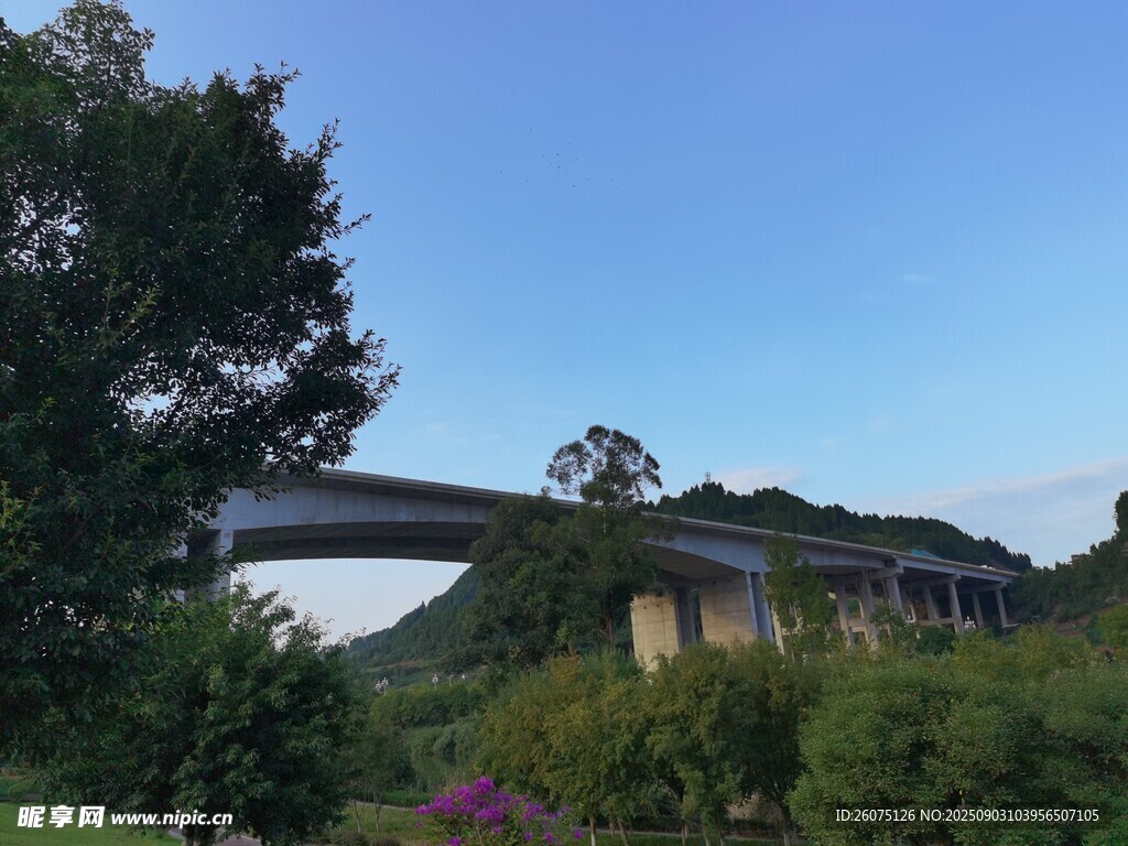 山間橋梁隱于蔥郁植被間