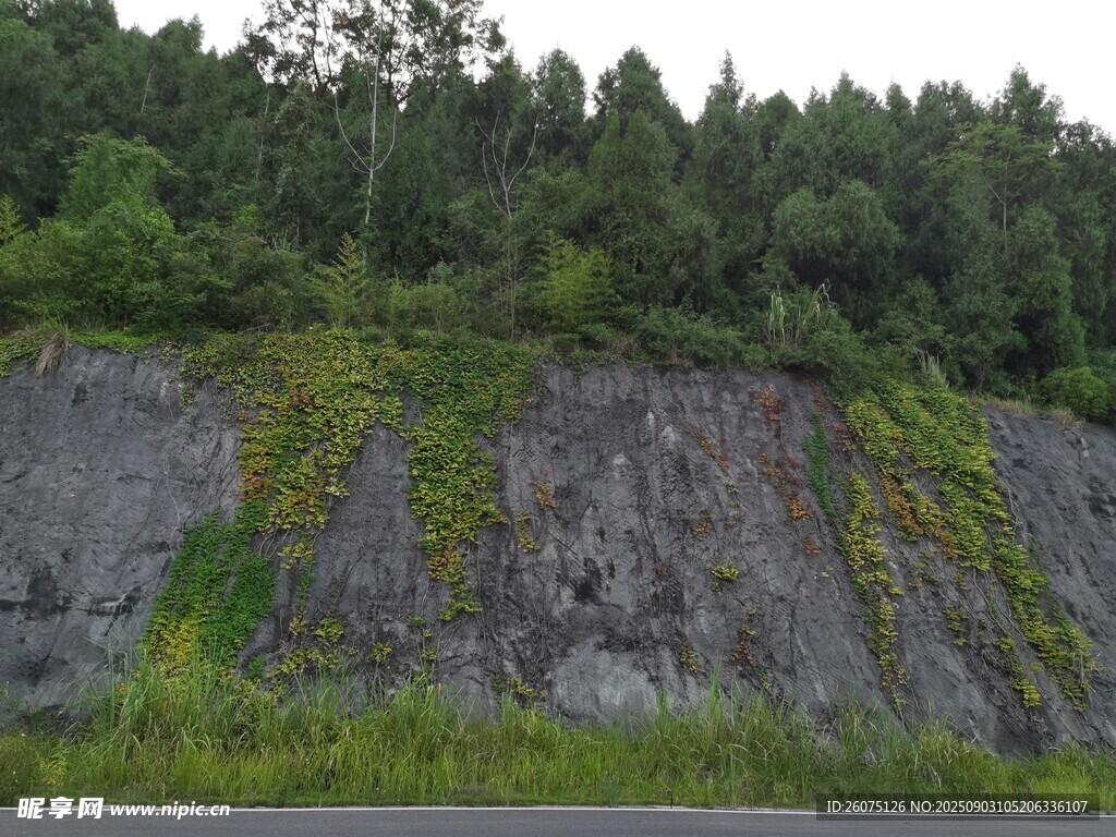 山林間的峭壁綠植景觀