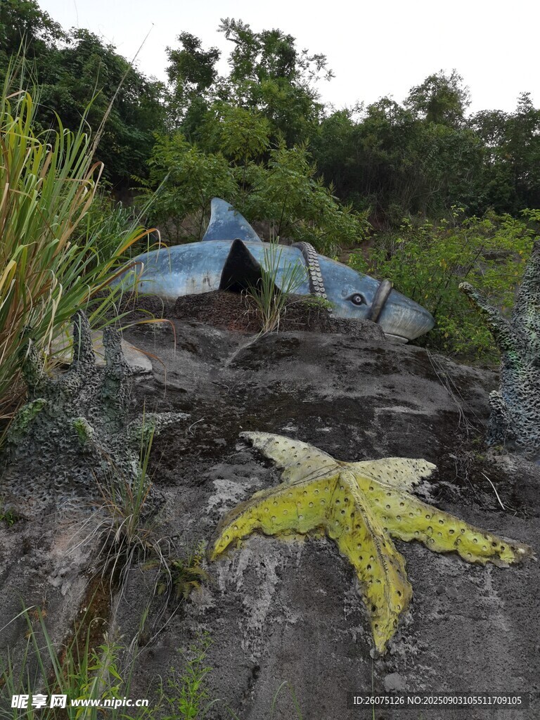 巖壁上的海星與藍色魚類雕塑