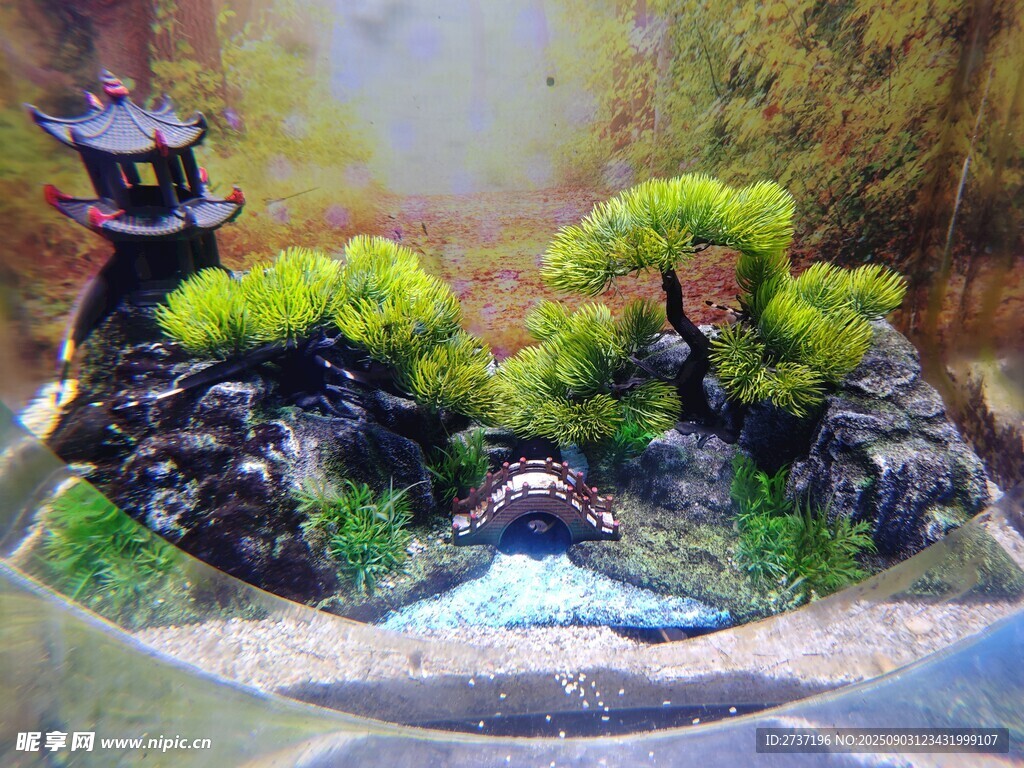 精致山水盆景