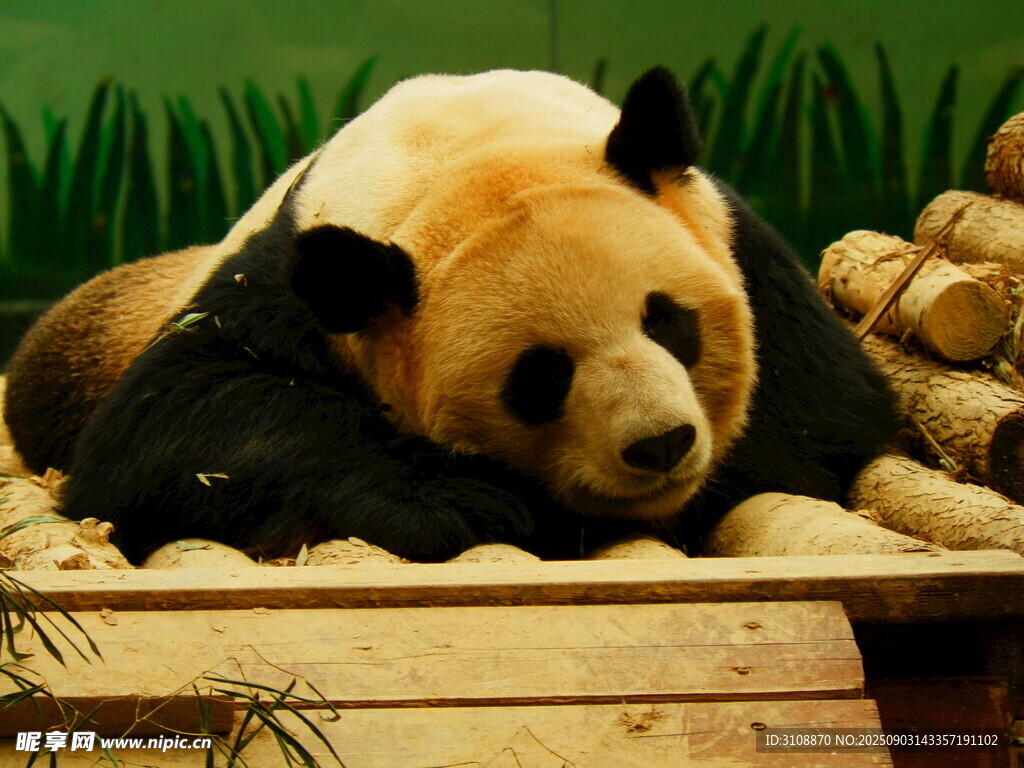 南昌市動(dòng)物園