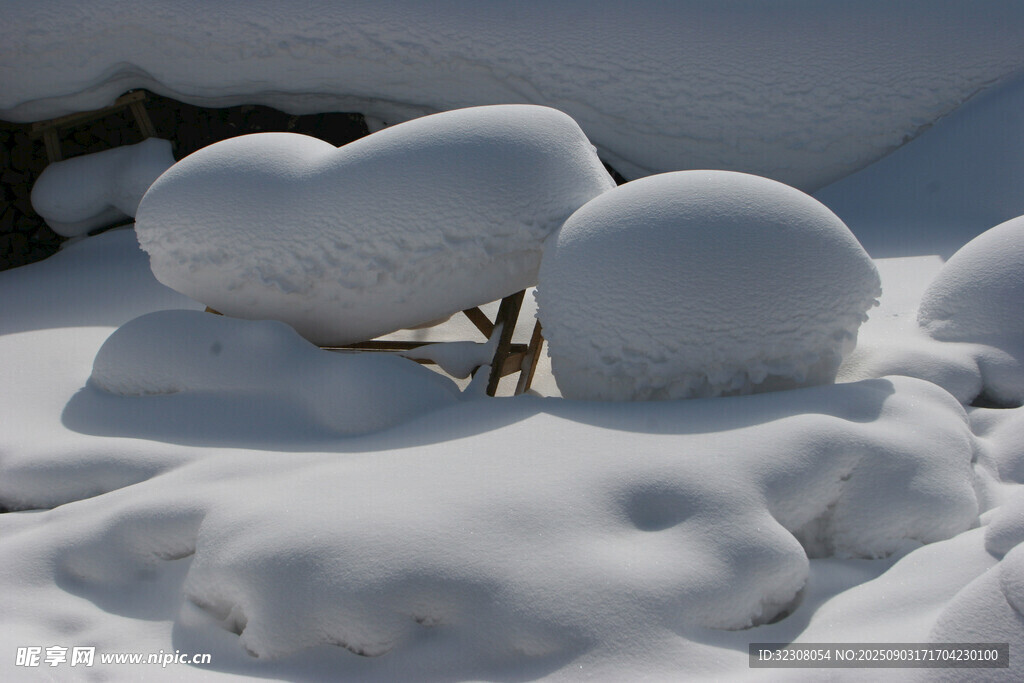 雪覆樹木的冬日美景