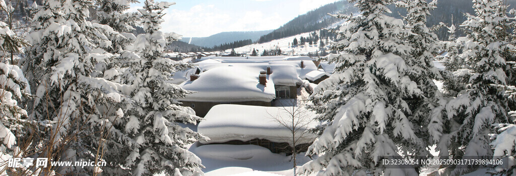 冬日雪景中的道路與樹木