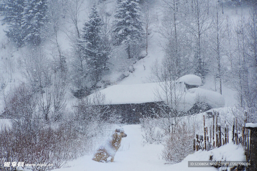 雪覆山林中的靜謐小屋