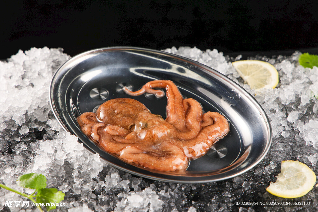 冰鮮八爪魚(yú) 