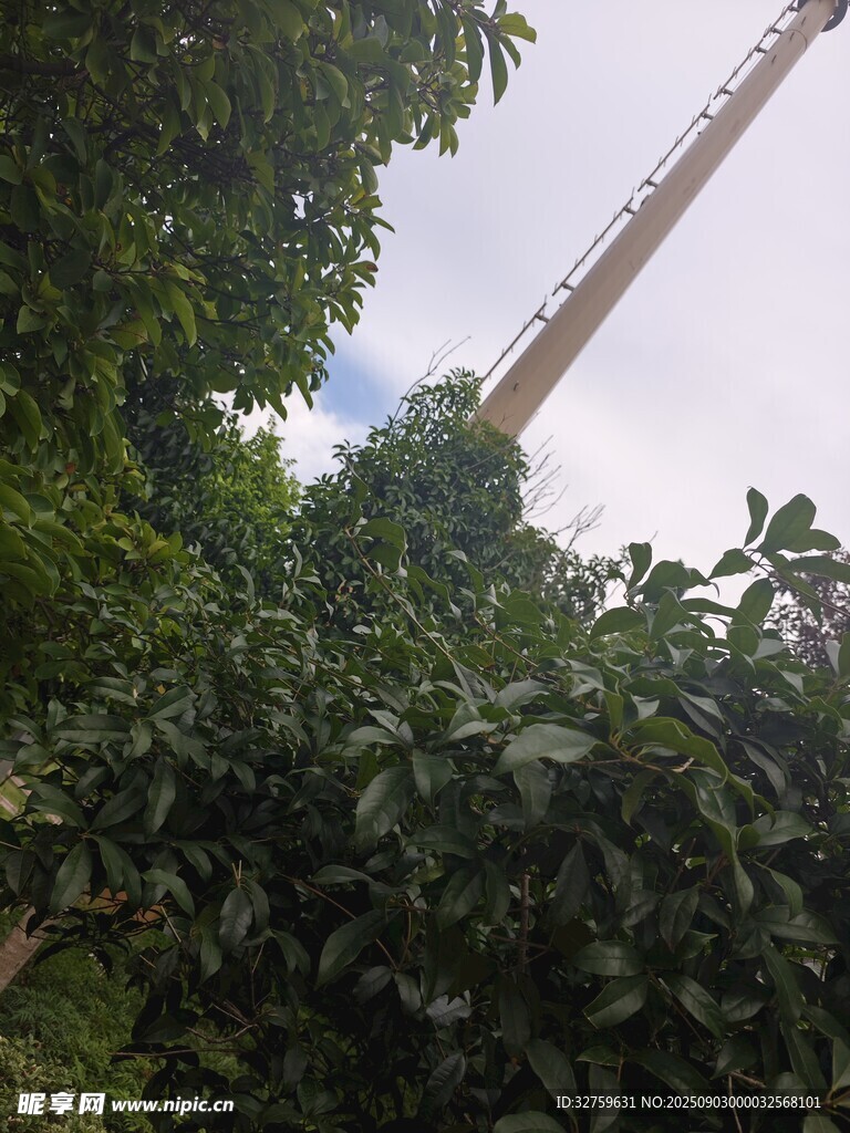 起重機立于繁茂綠植間