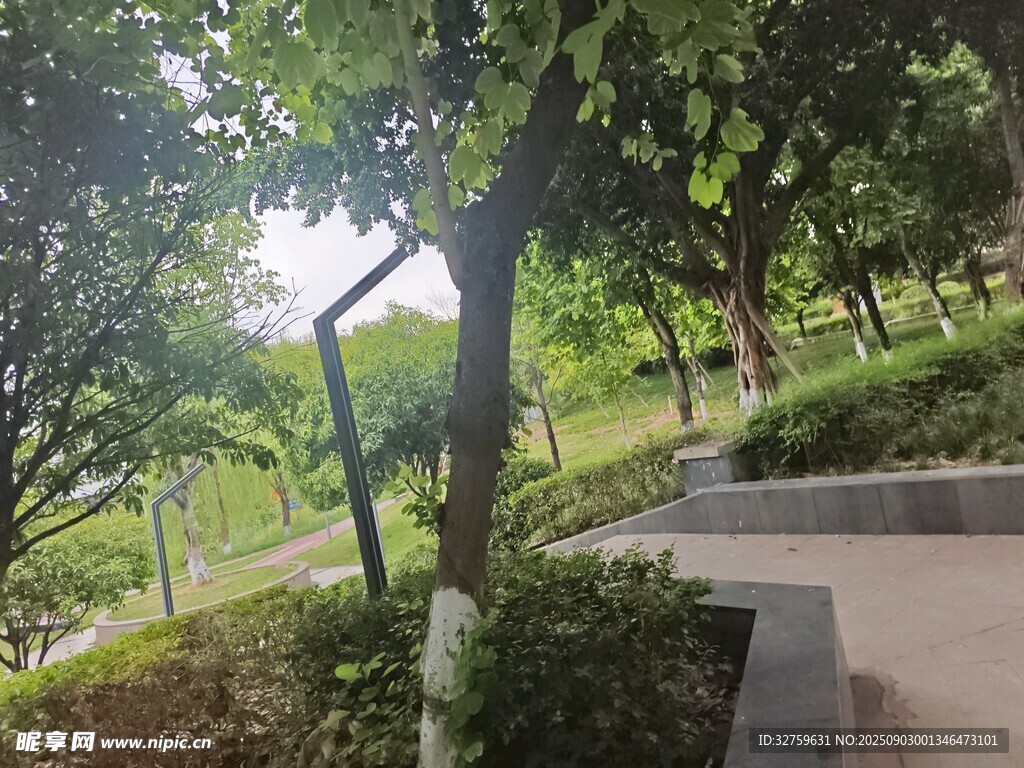 公園林蔭小道綠意盎然