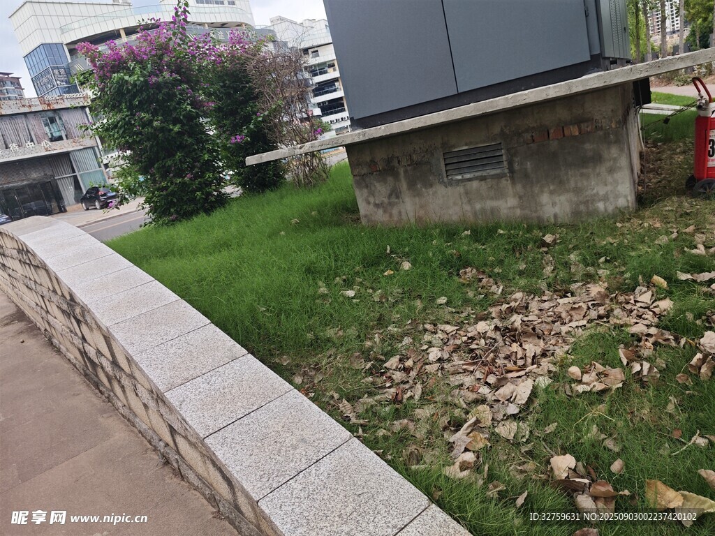 路邊草地及散落的枯葉