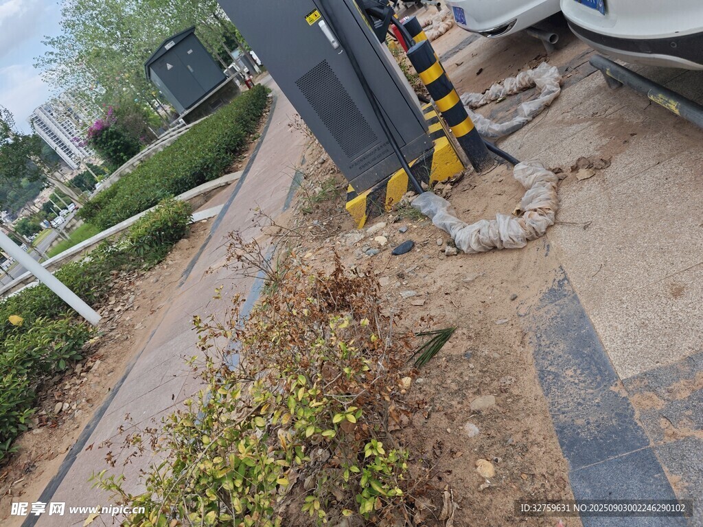 道路旁損壞的設(shè)施與雜草