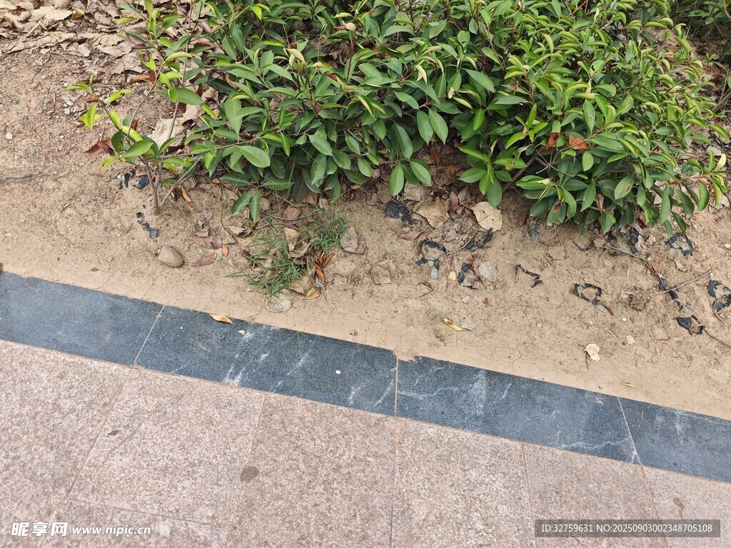 路邊綠植與碎石景觀