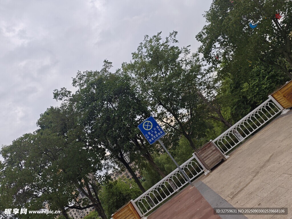 戶外街道旁的綠樹與設(shè)施