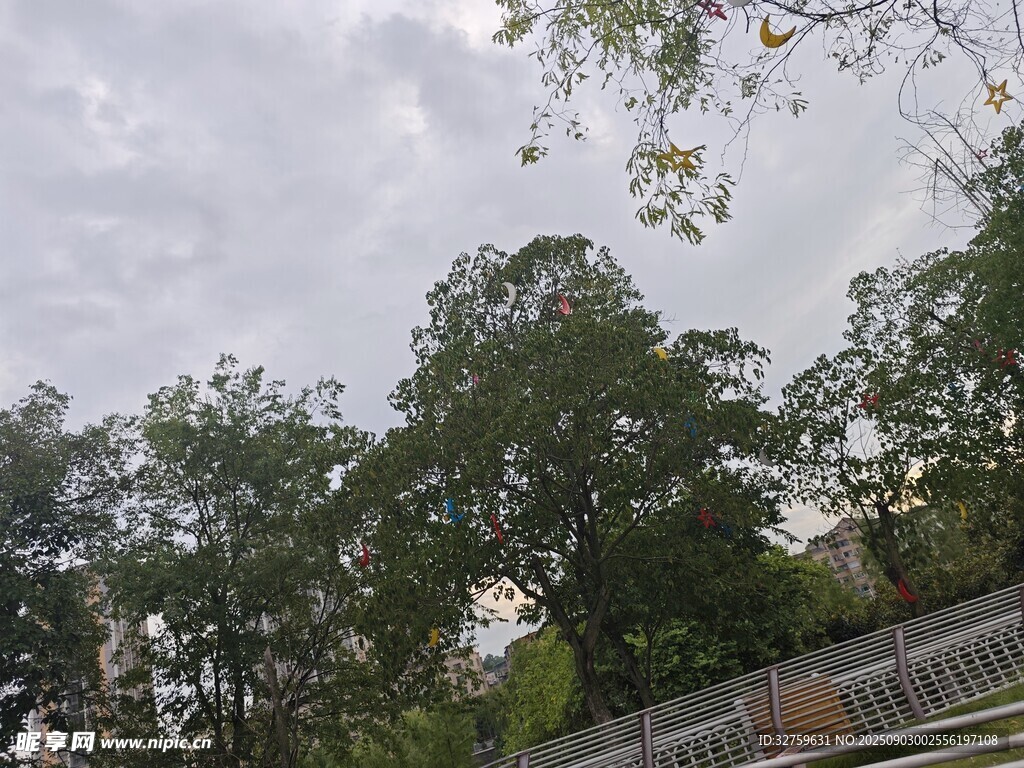戶(hù)外綠樹(shù)與圍欄景致