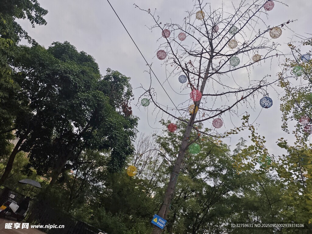 樹上懸掛彩色裝飾物
