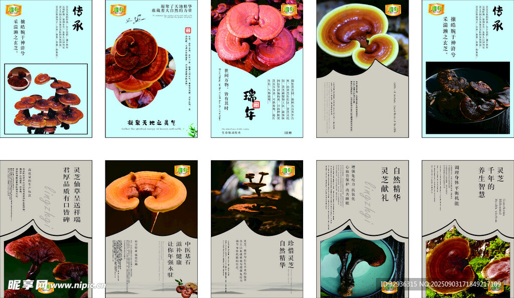 靈芝