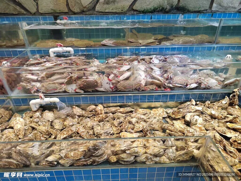 海鮮市場的多樣水產(chǎn)