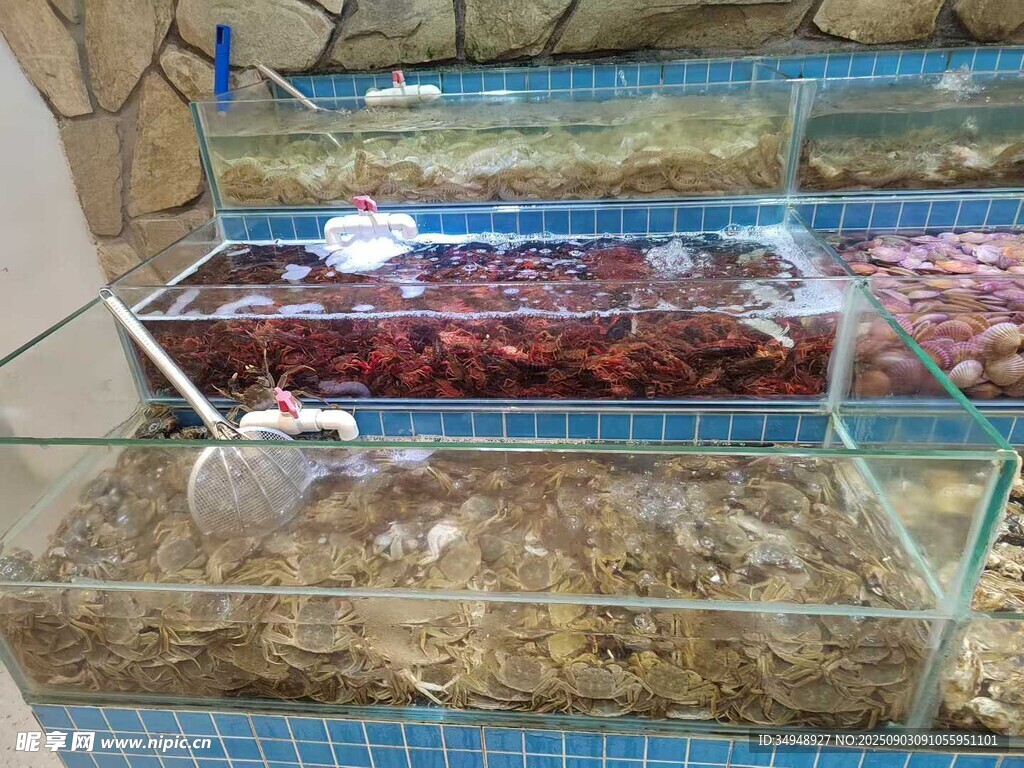 展示柜中的多樣海鮮食品