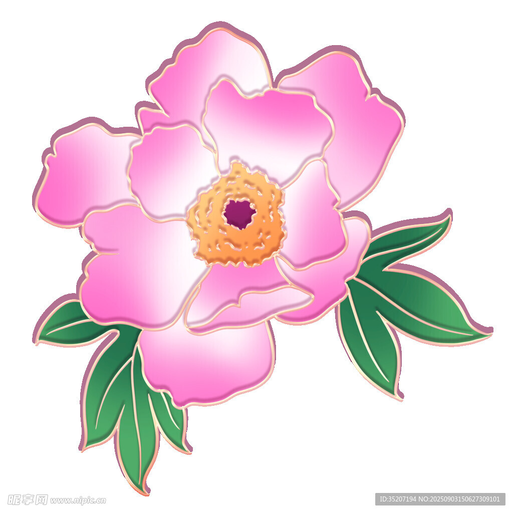 粉色牡丹花飾圖案