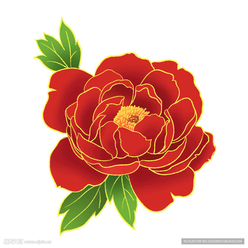 紅色牡丹花卉圖案