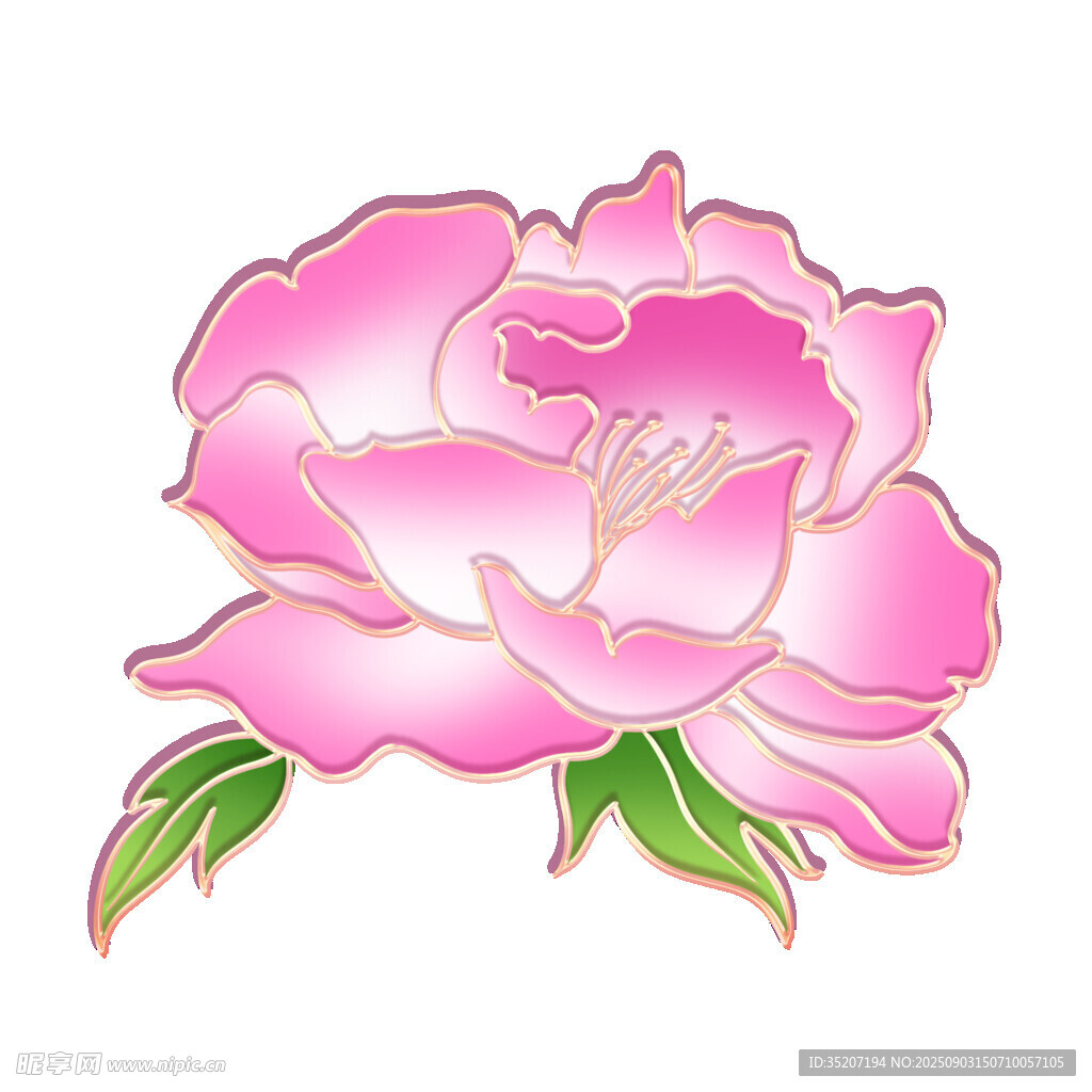 粉色嬌艷牡丹花插畫