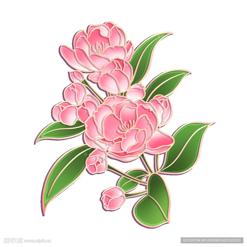 粉色花卉插畫