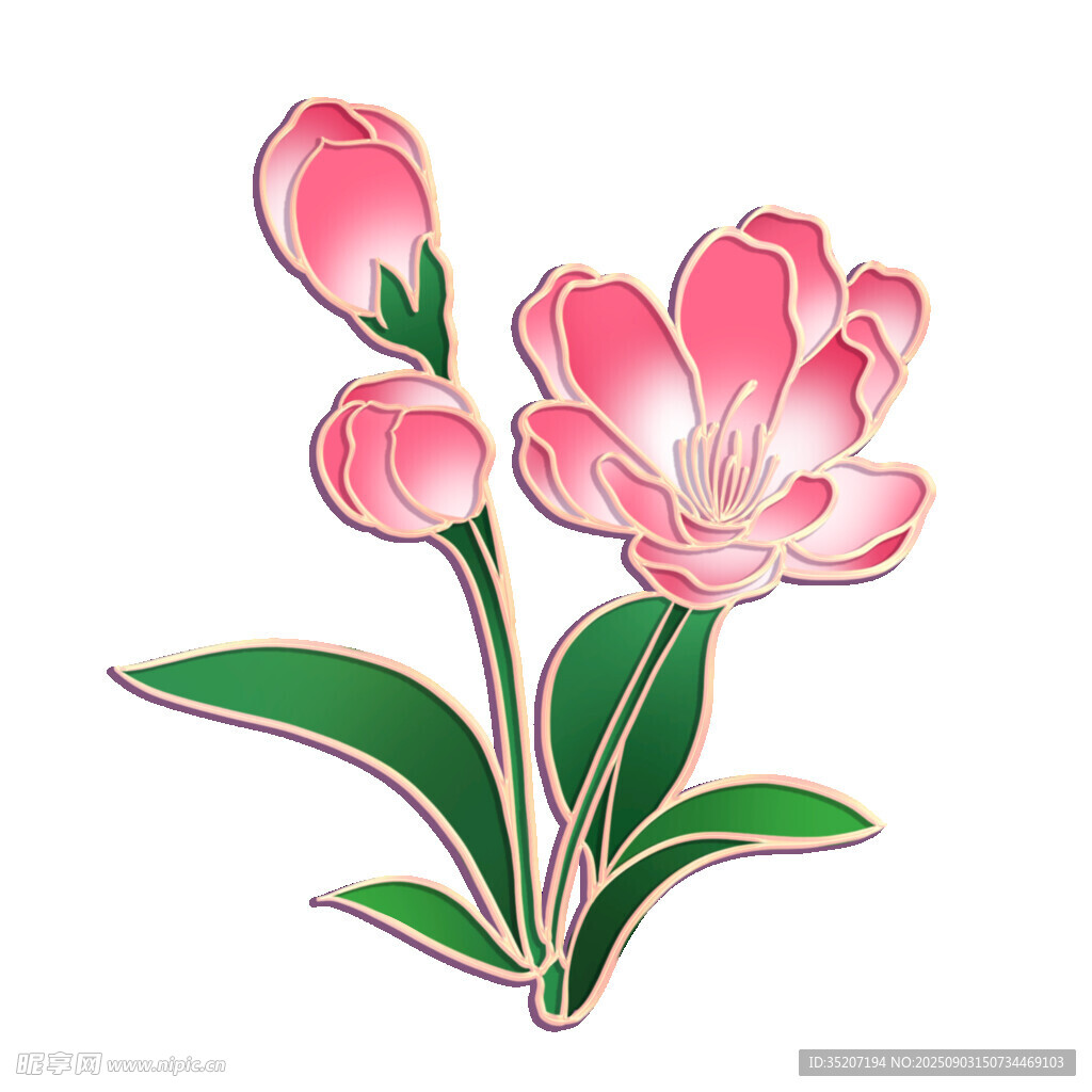 粉色花卉圖案設(shè)計元素