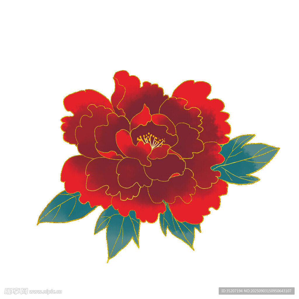 紅色牡丹花卉圖案