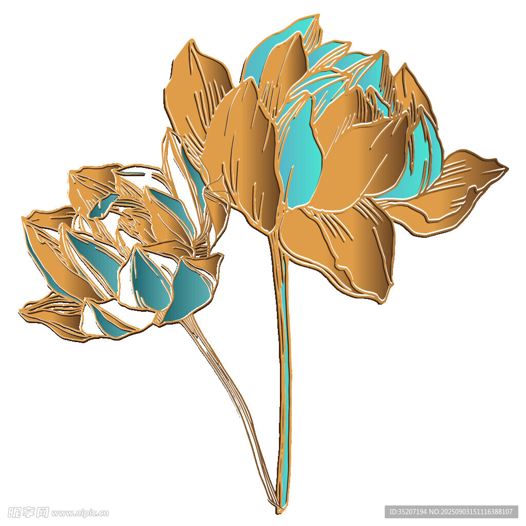 復(fù)古風(fēng)雙色蓮花插畫