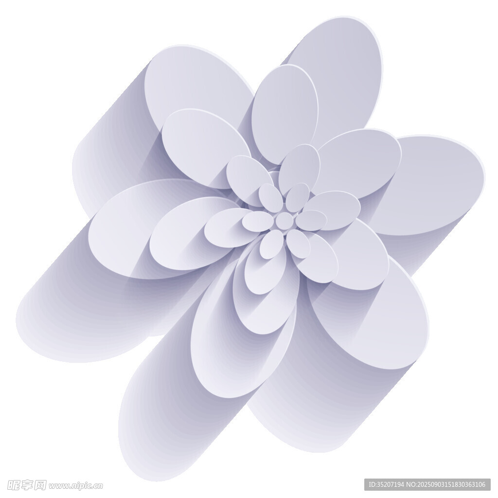 立體白色紙藝花朵圖案