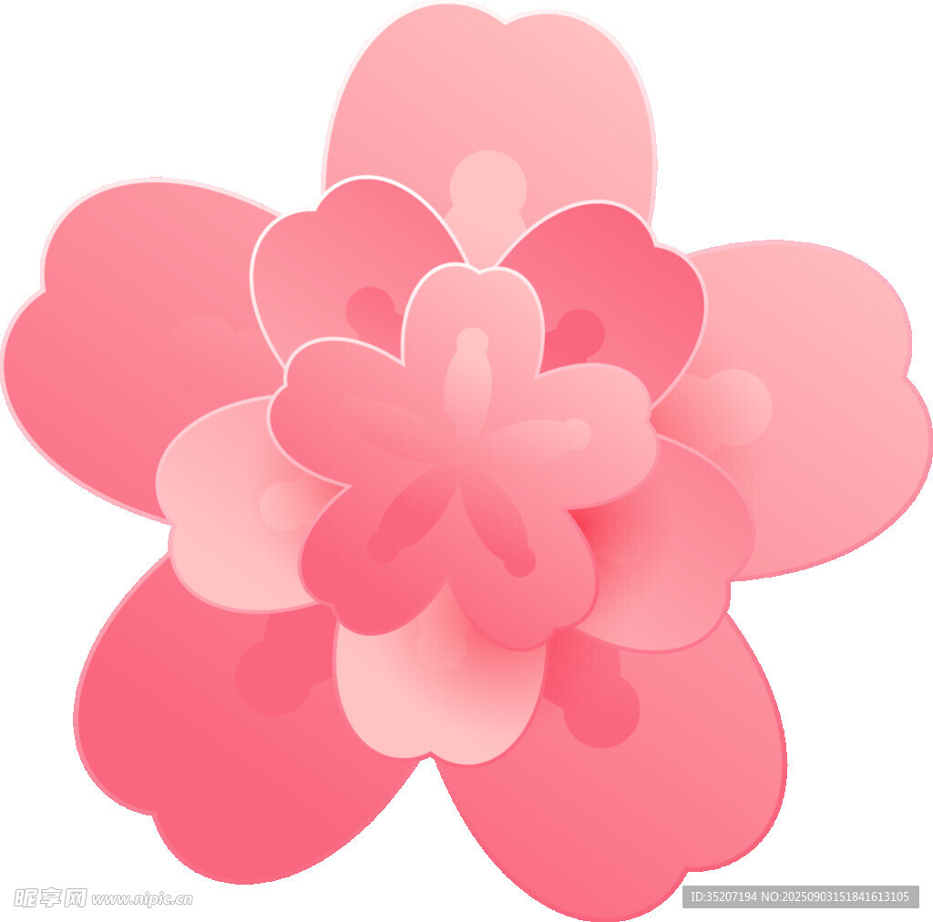 粉色立體花朵插畫